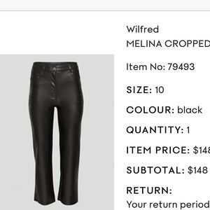 Melina aritzia leather pants
